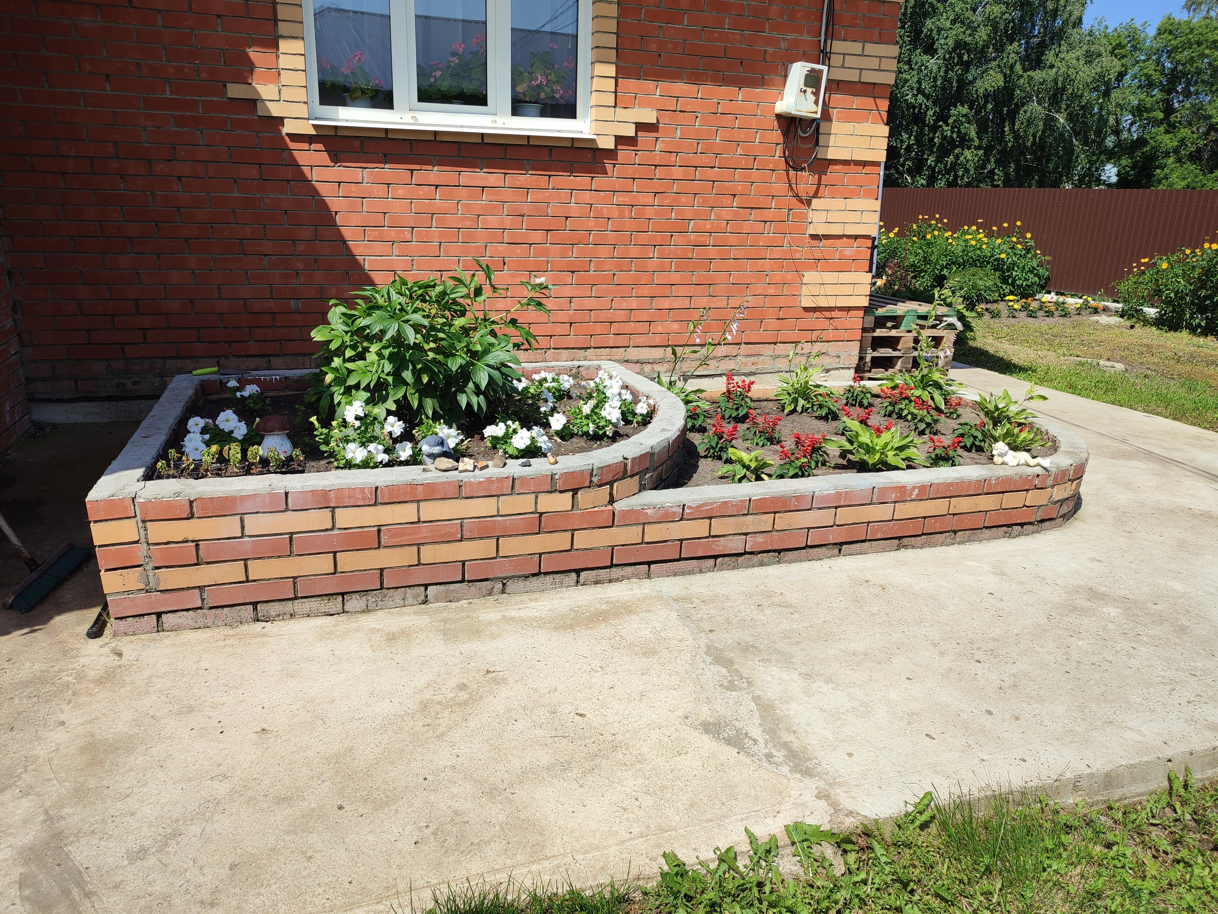 Фото Путник