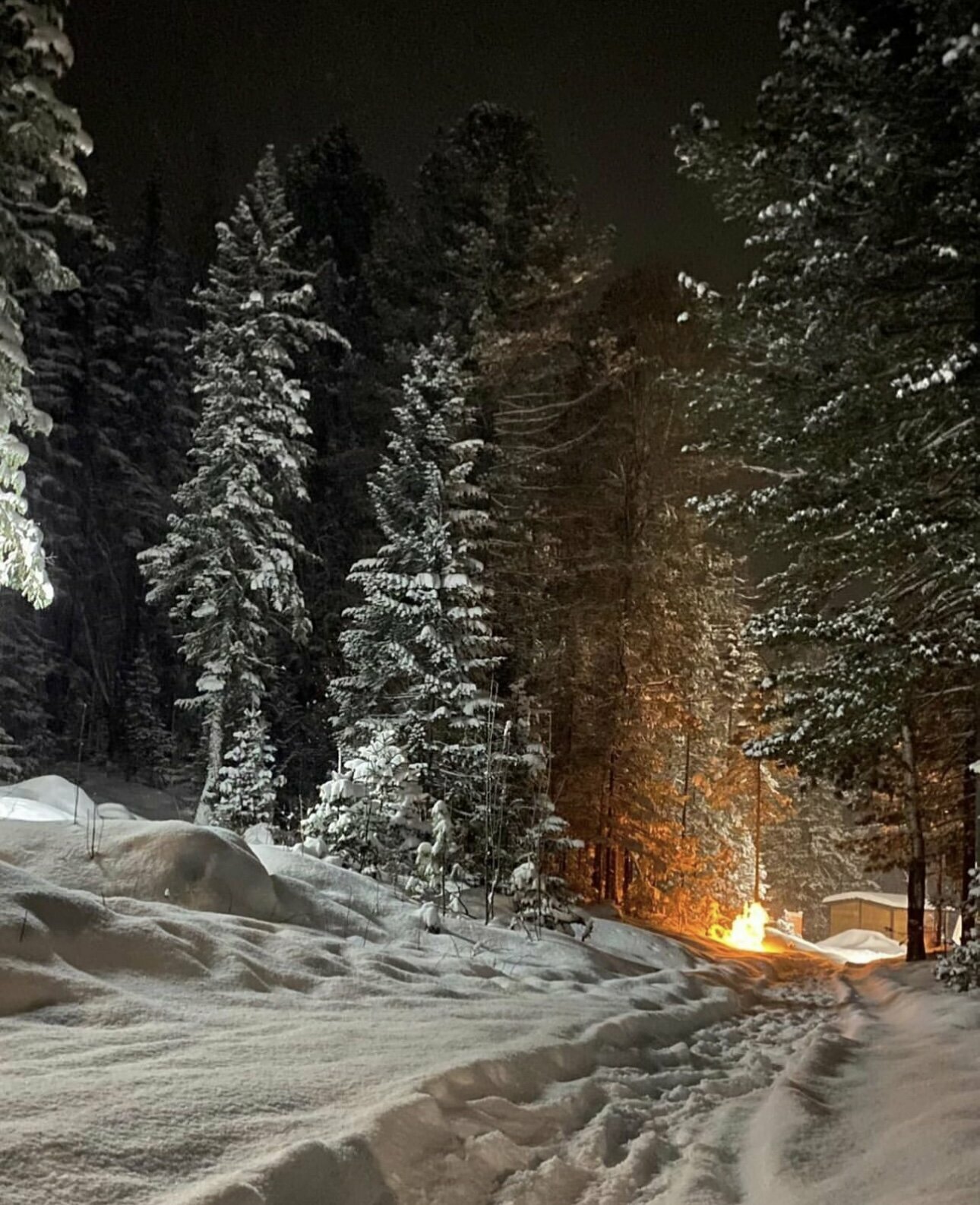 Фото Экопарк Южный Байкал