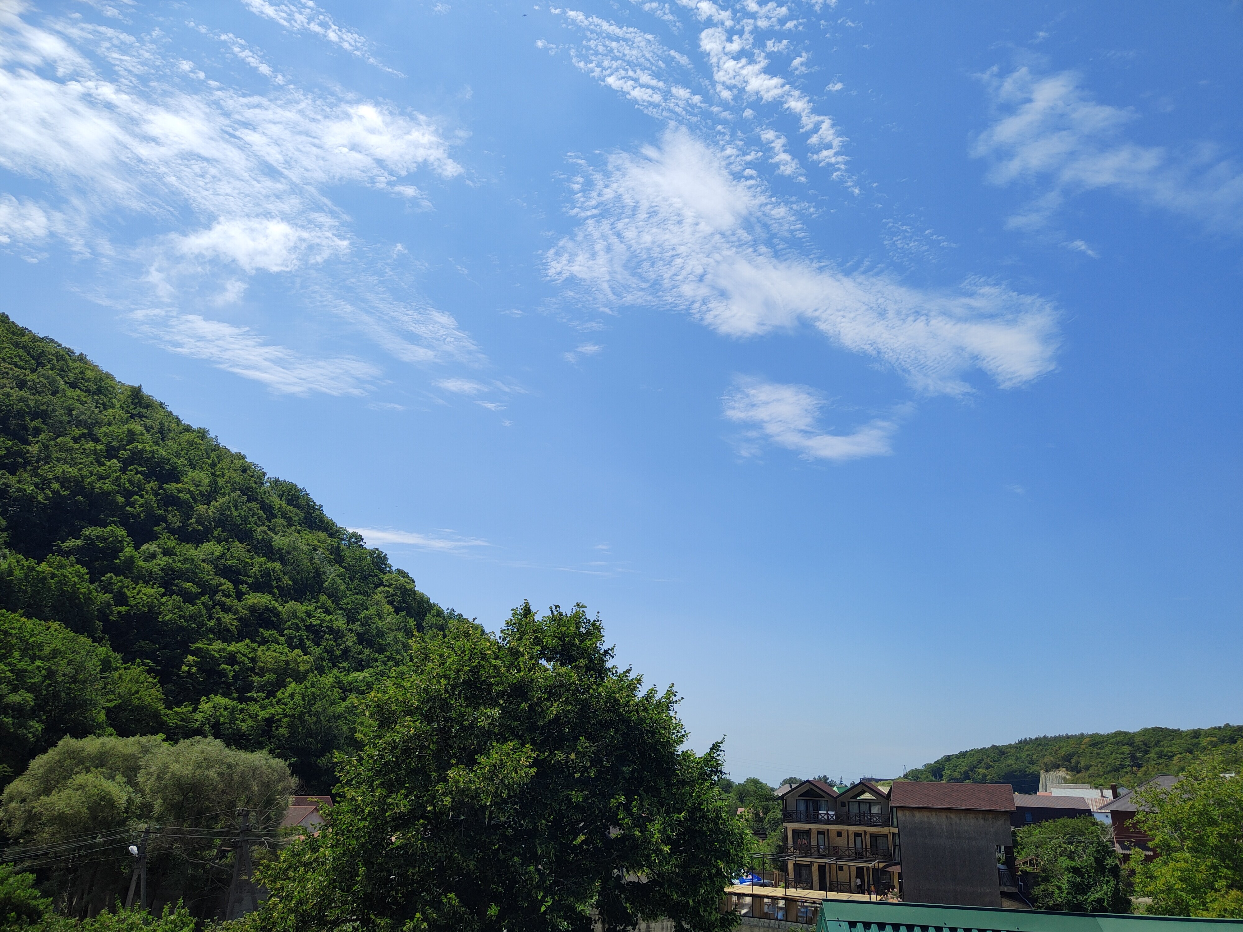 Фото Стефания