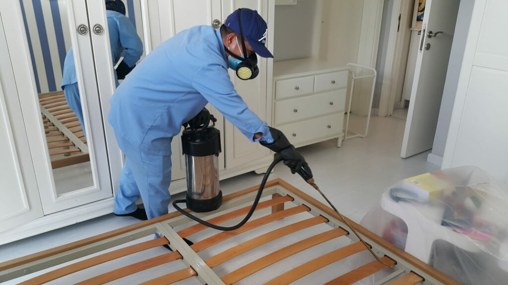 Cleaning services Regional Building Cleaning & Pest Control Services, Dubai, photo