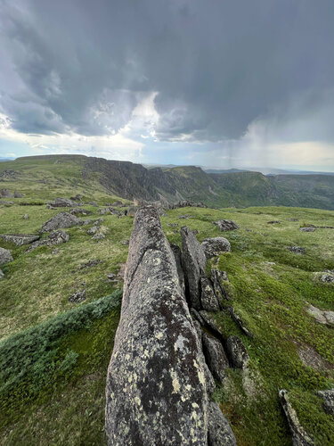 Босану фотосы