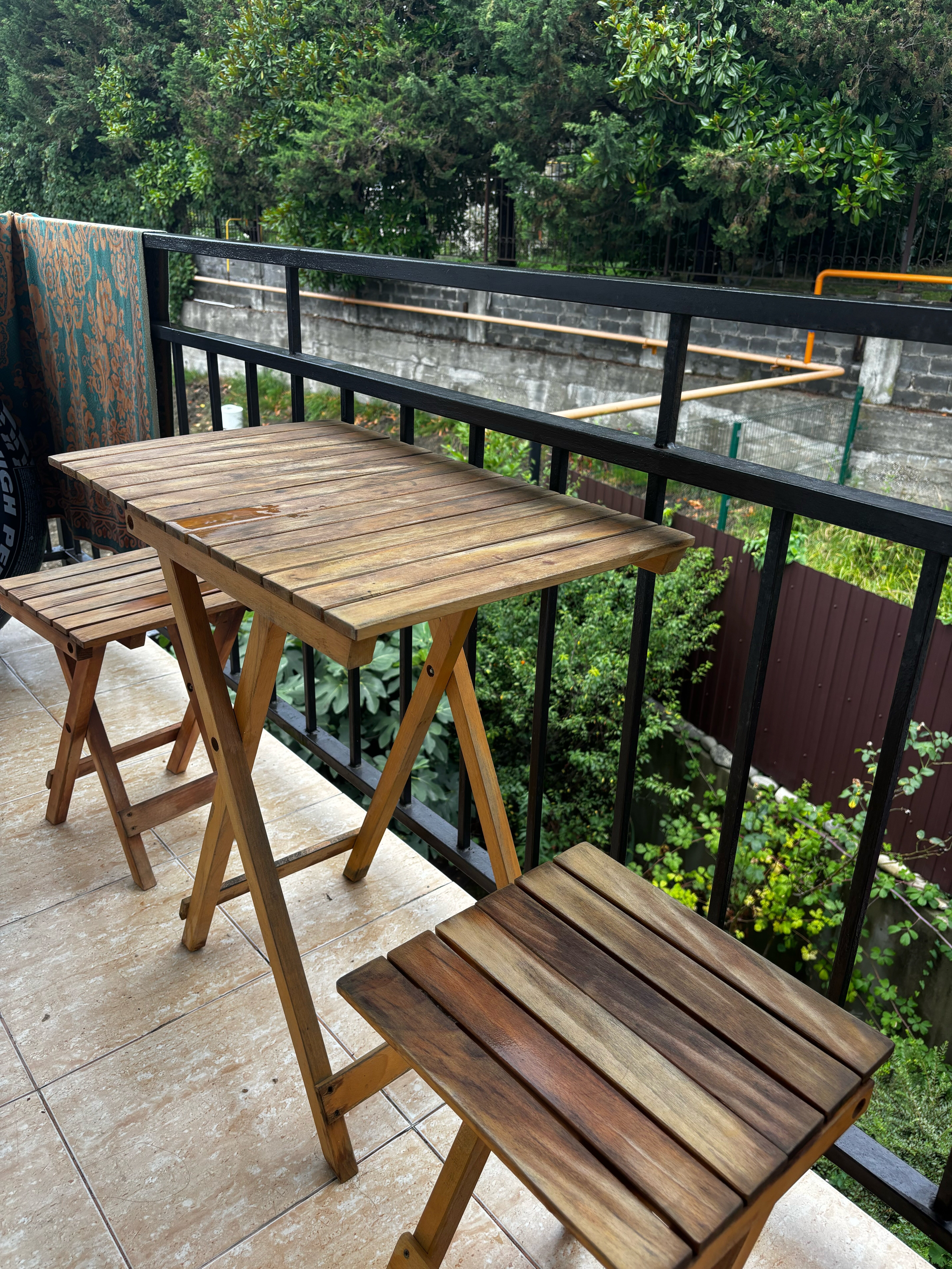 Фото Тропики