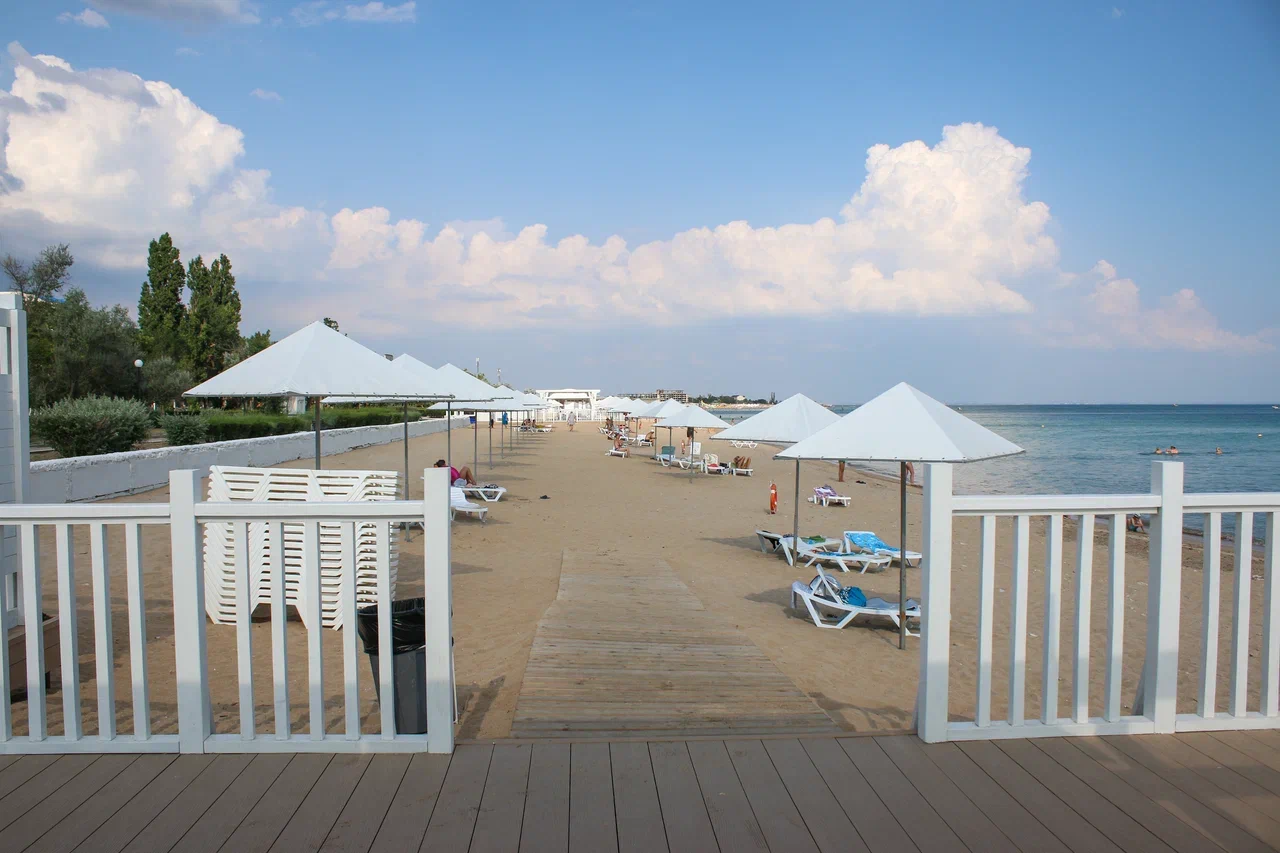 Фото Возрождение