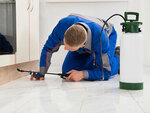 Blue Smart Cleaning Services (7, Persia-N Street, Persia Cluster, Dubai International City, Mushraif, Dubai), disinfection, disinsection, deratization