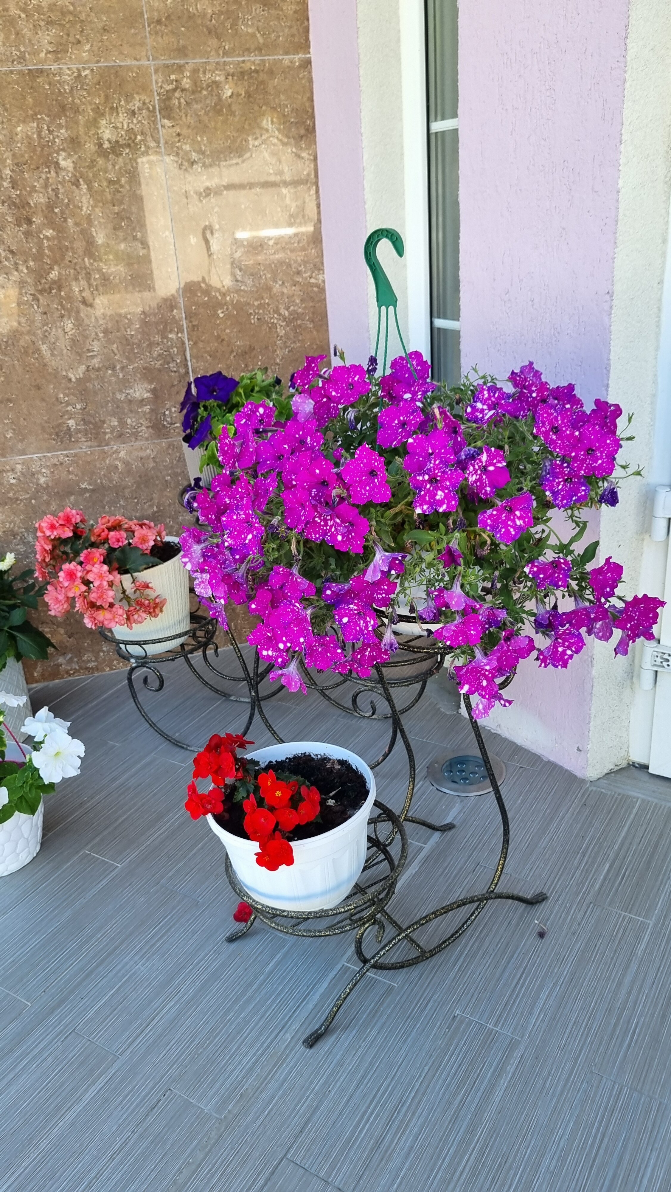 Фото АмстерДом