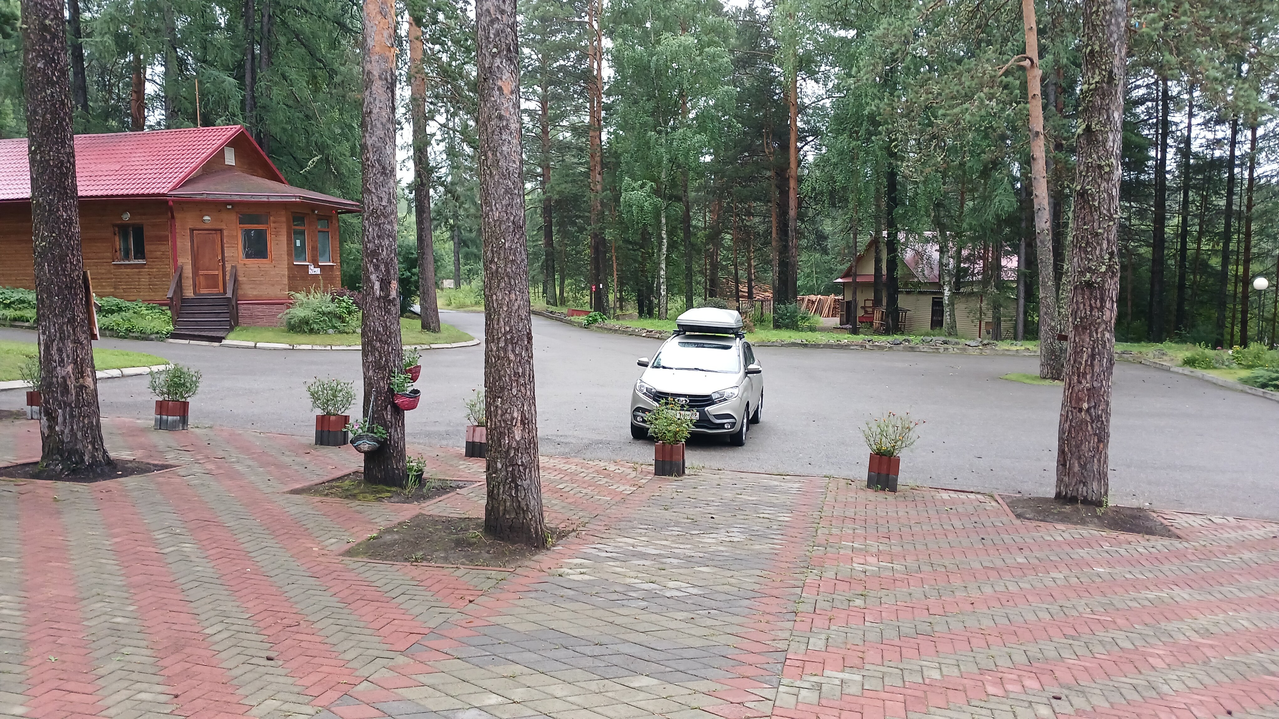 Фото Солнышко