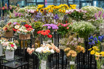 Tsvetomania (Mendeleeva Boulevard, 5к1), flowers and bouquets delivery