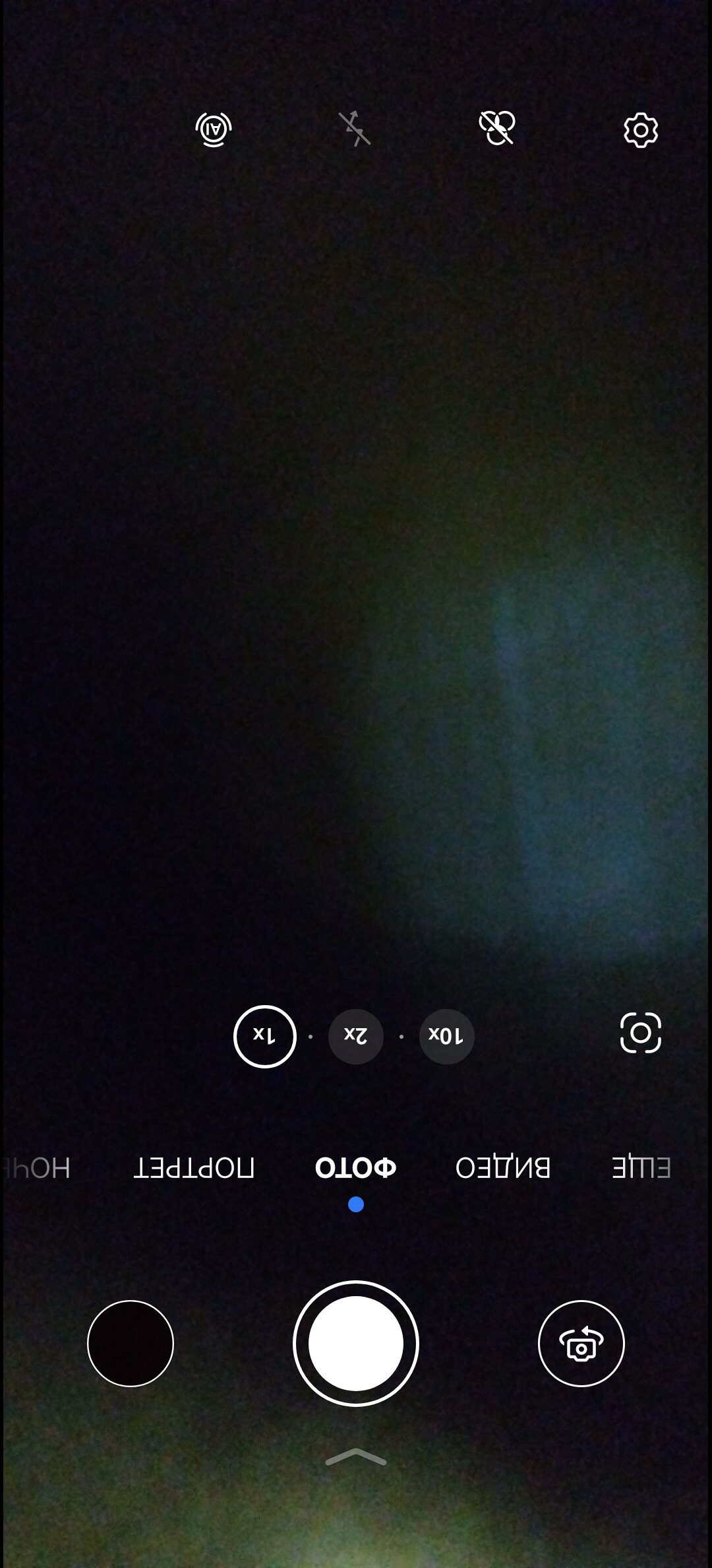 Фото Дикая Вишня