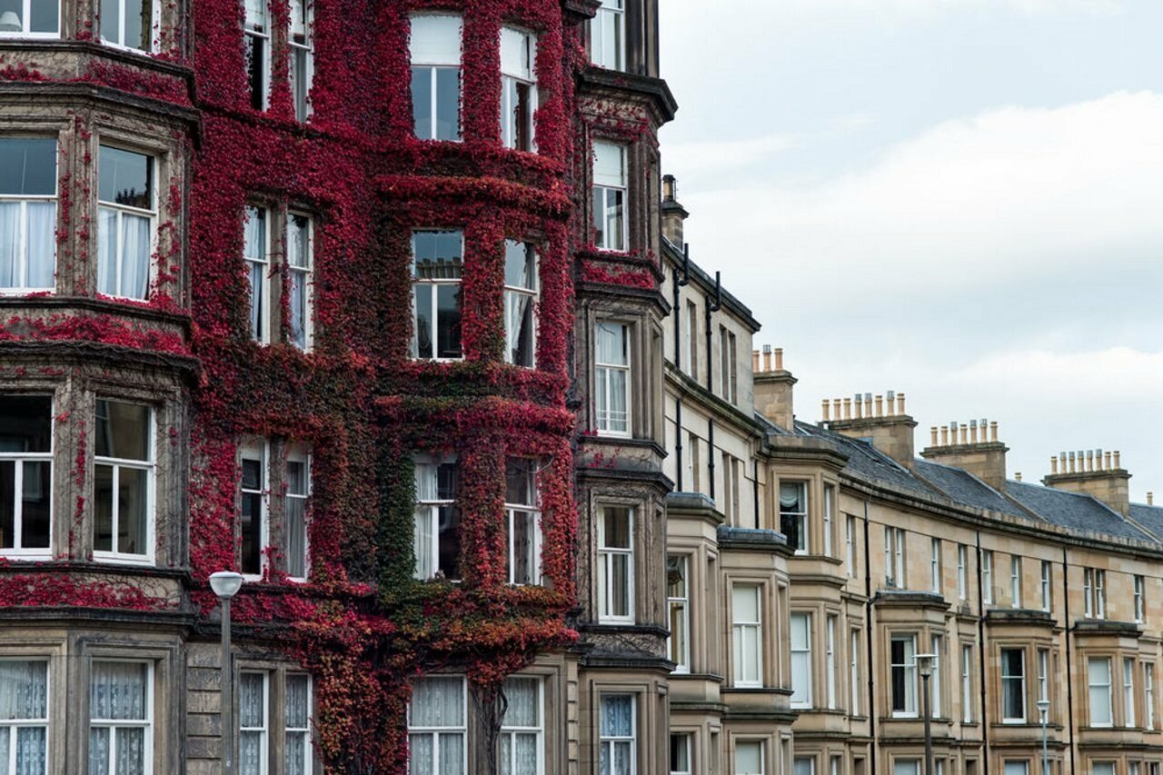 Фото No. 32 Hotel