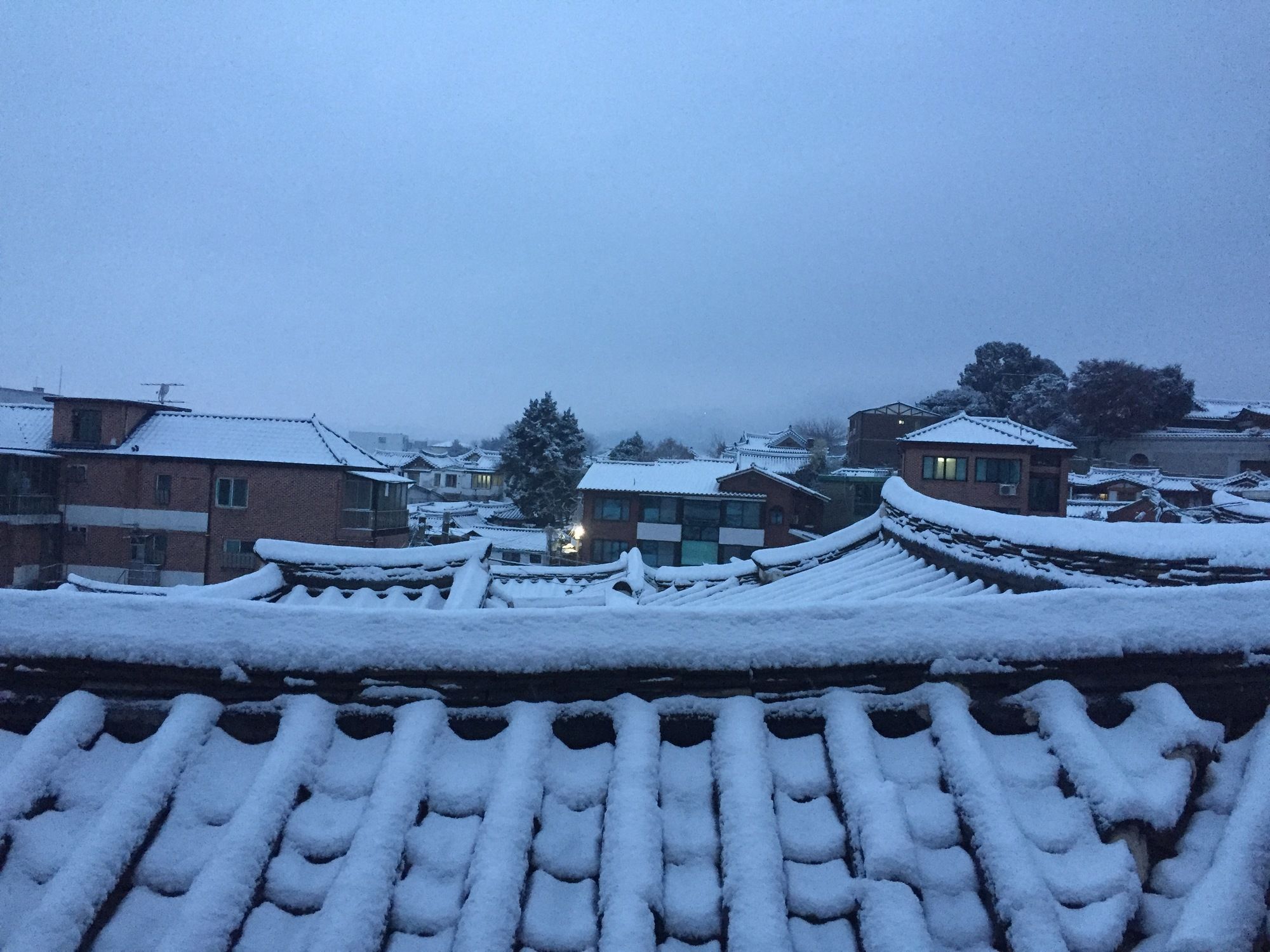 Фото Mon Oncle a Seoul