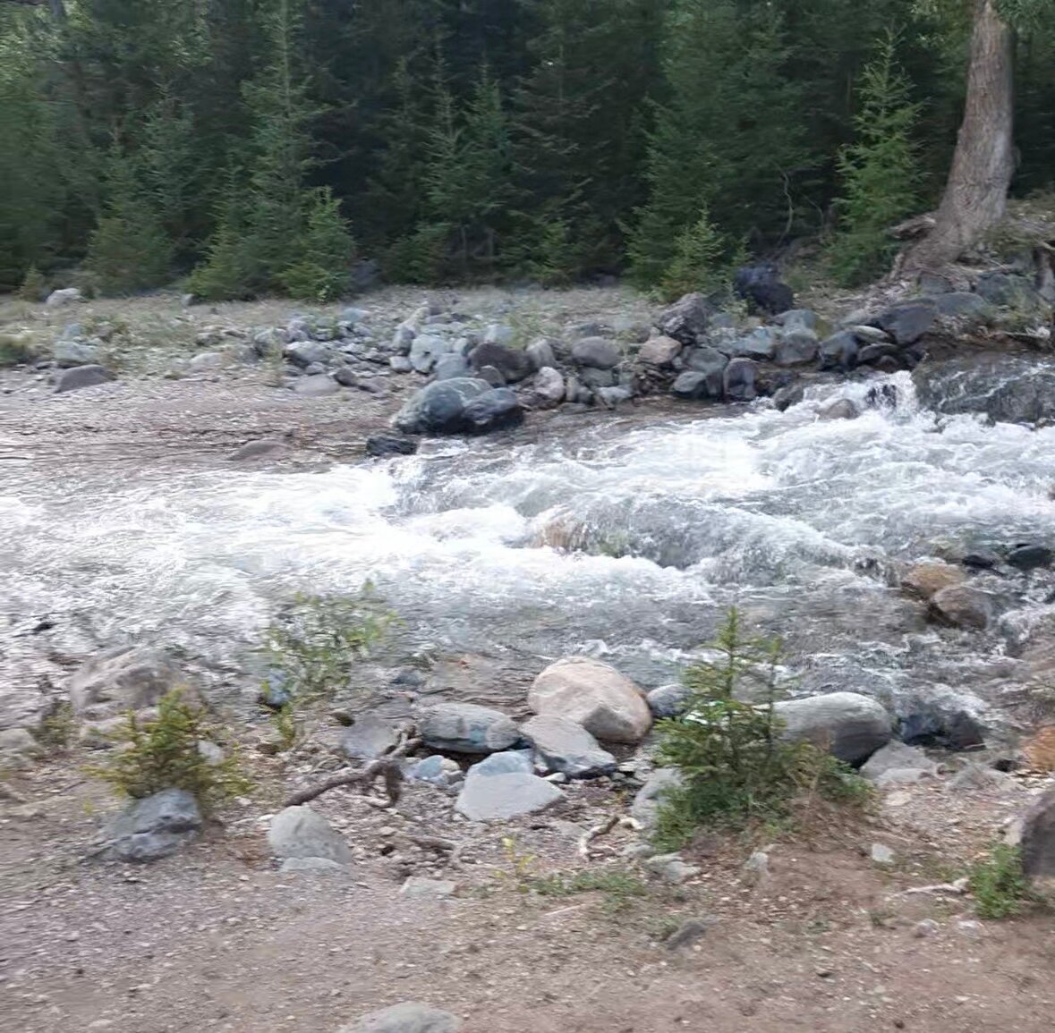 Фото Эркелей