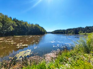 Водяная мельница (Minskaja region, Maladziechanski rajon, Gorodokskiy selsovet), landmark, attraction