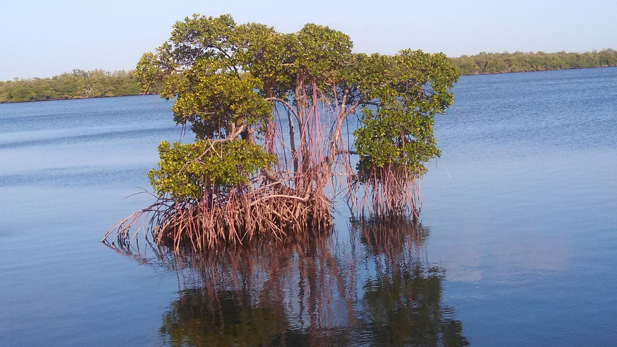 Фото Silver Spray Motel