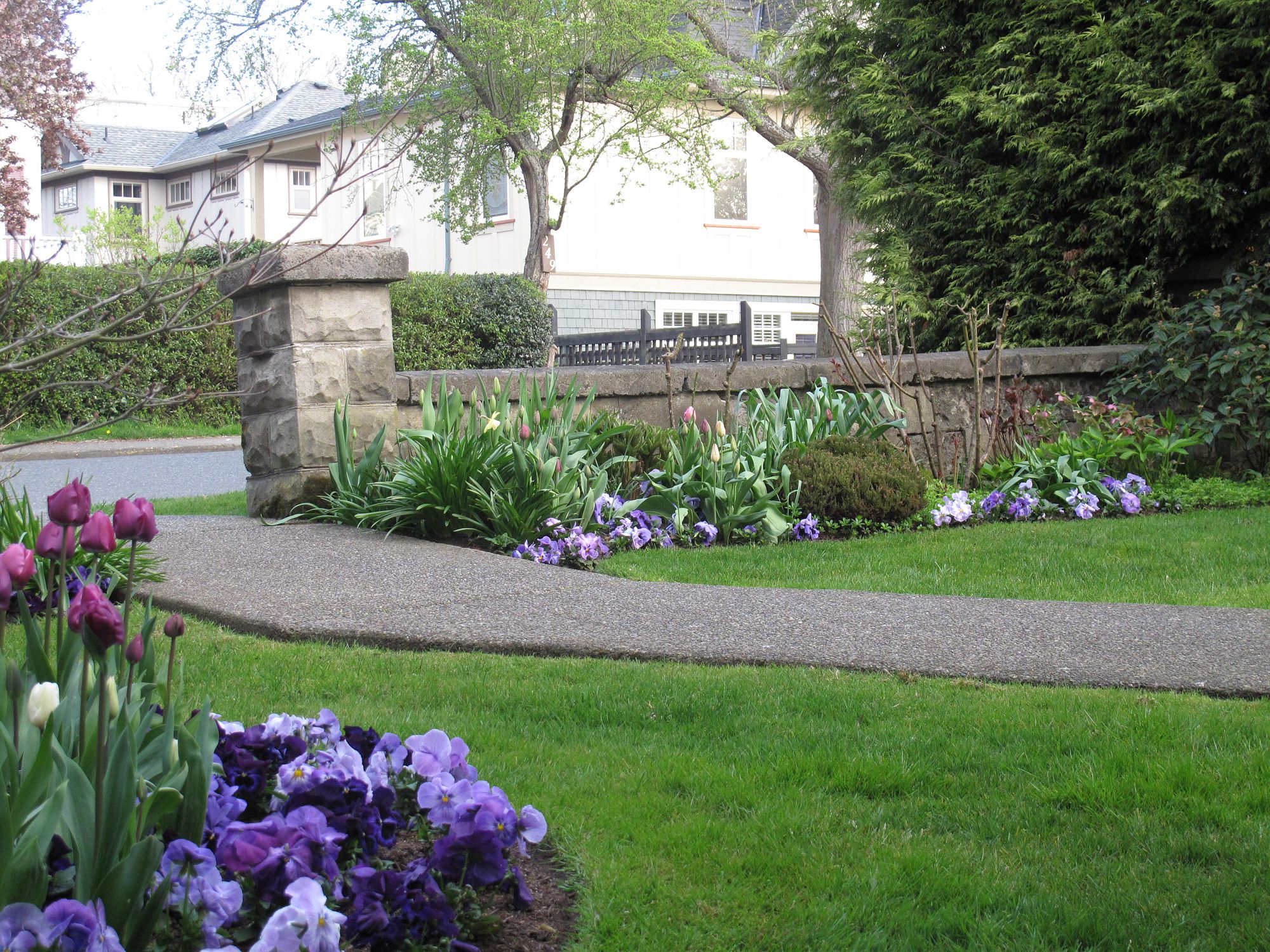 Фото James Bay Inn Hotel & Suites