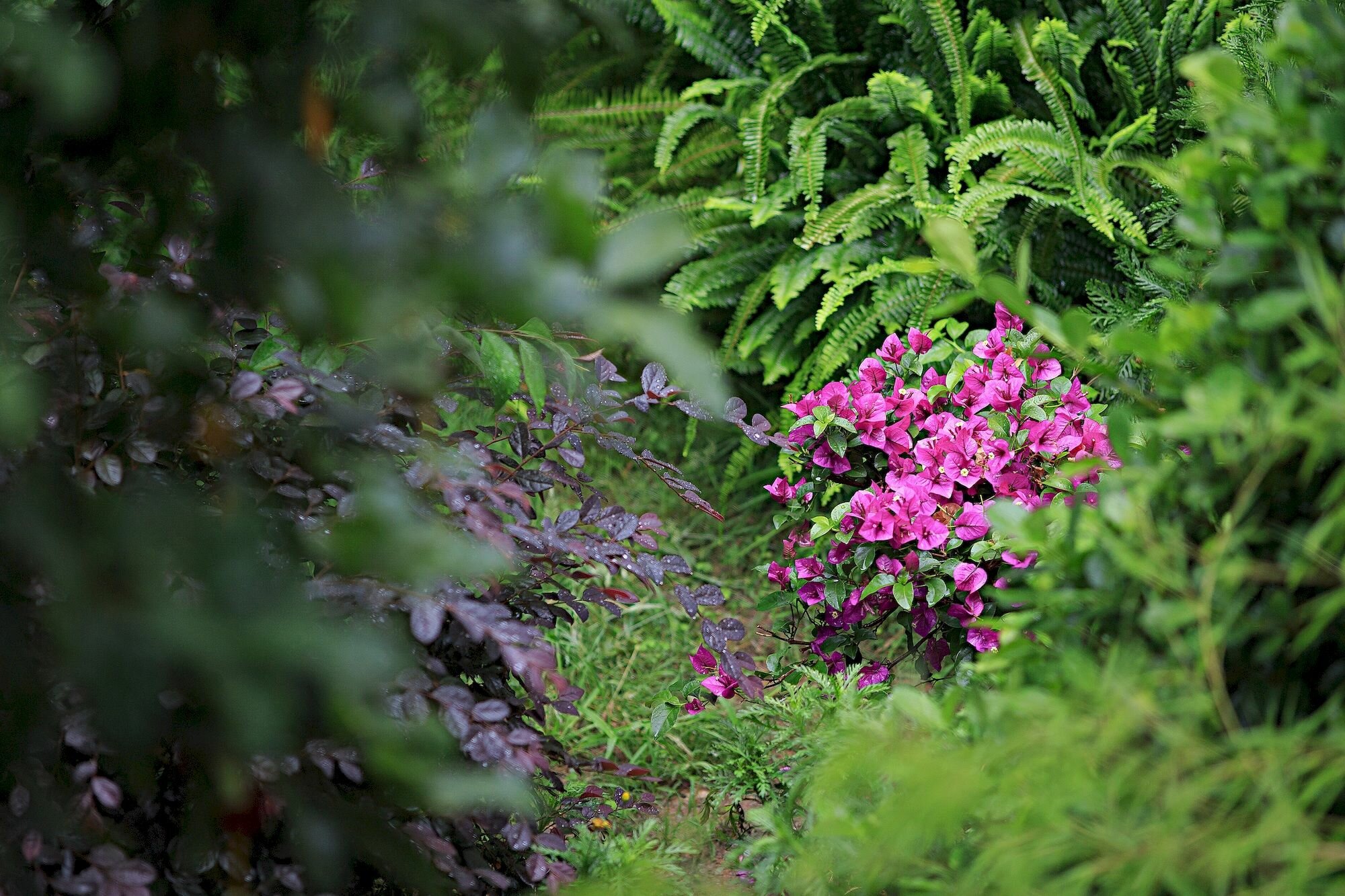 Фото China Old Story Inns Dali Ancient Town