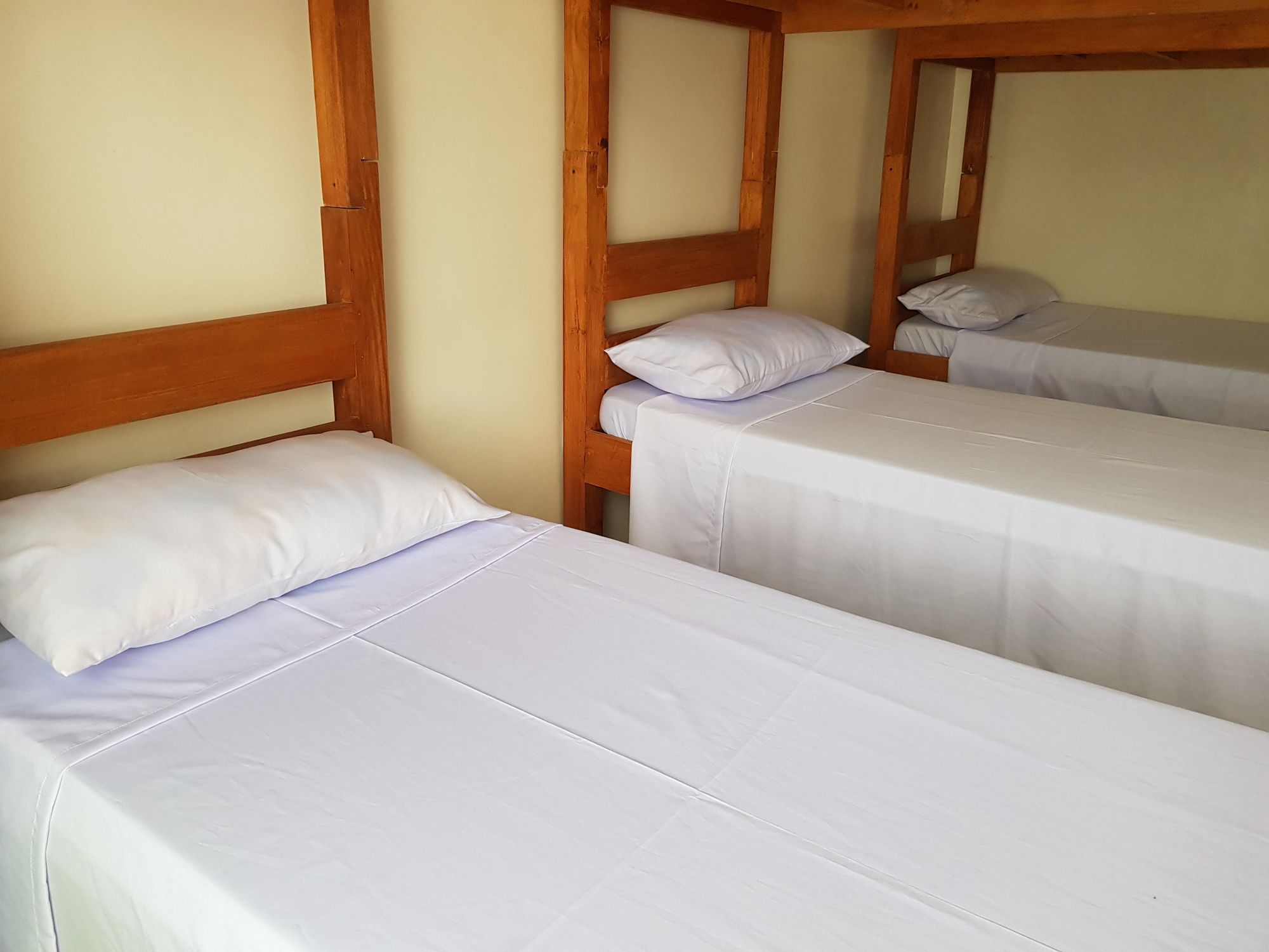 Фото Sha's Amour Dormitel