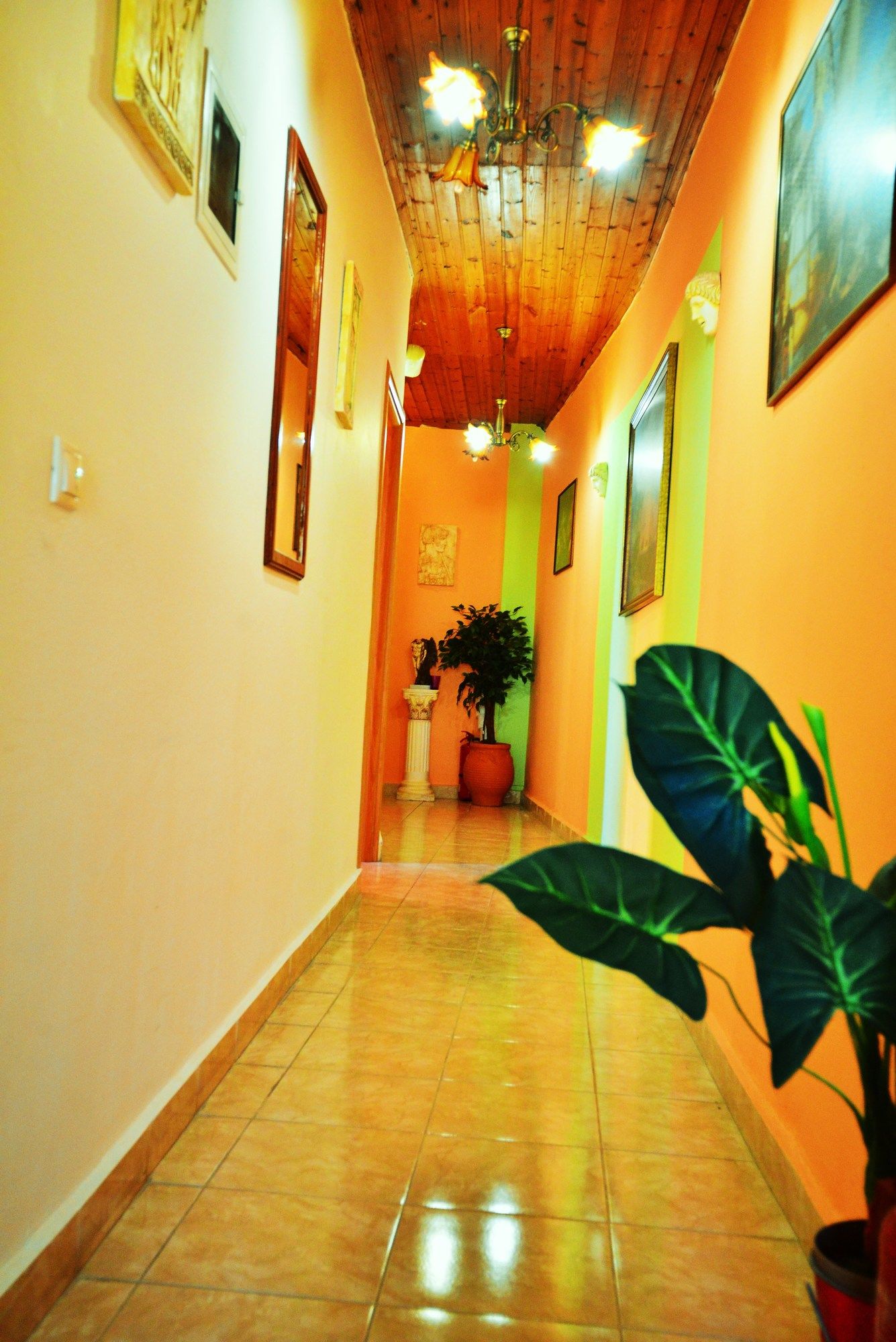 Фото Olympos Pension