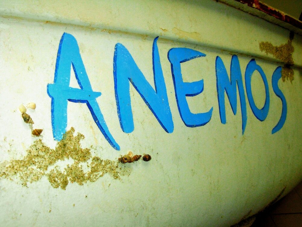 Фото Anemos Hotel