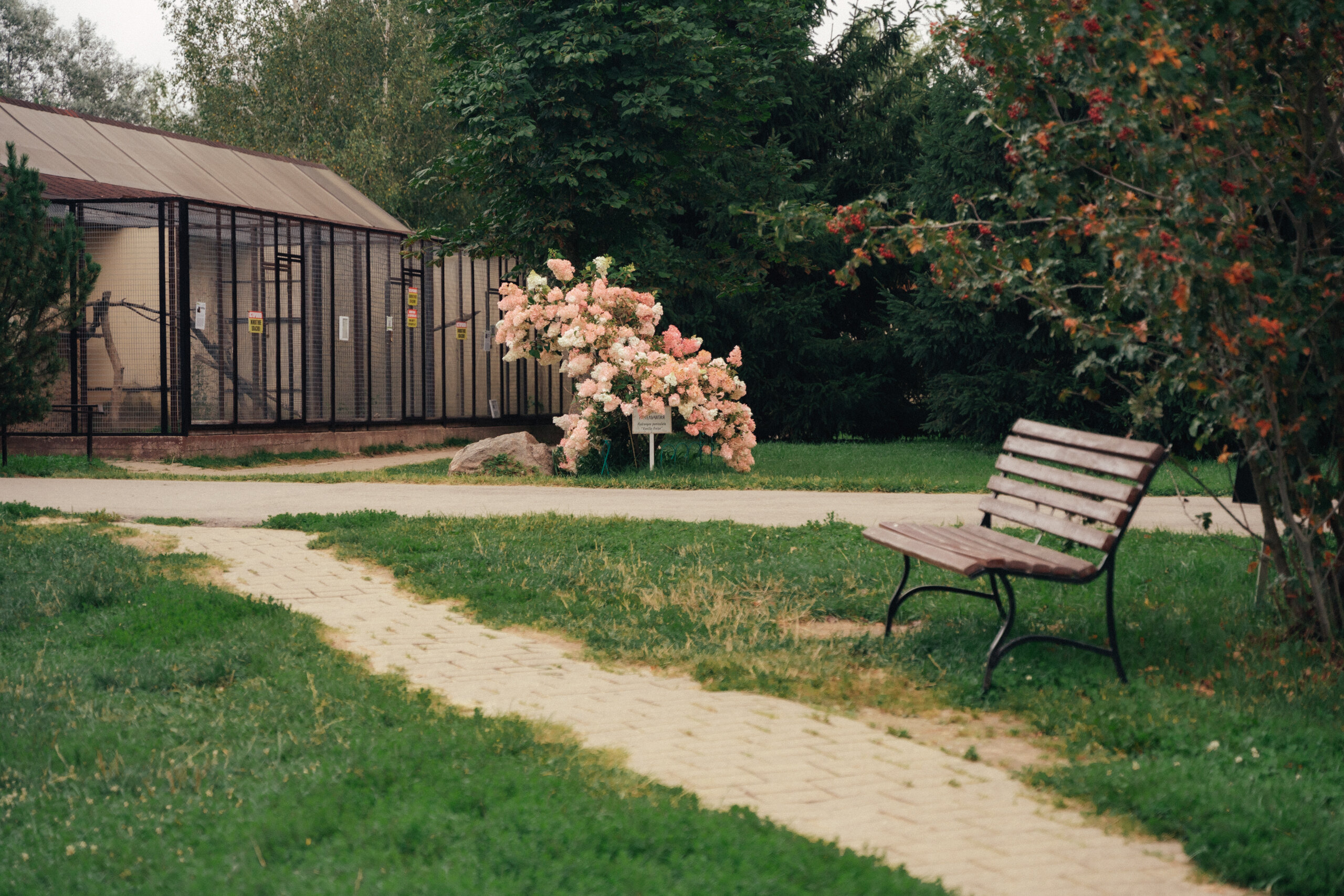 Фото Гостиница Парк Птиц