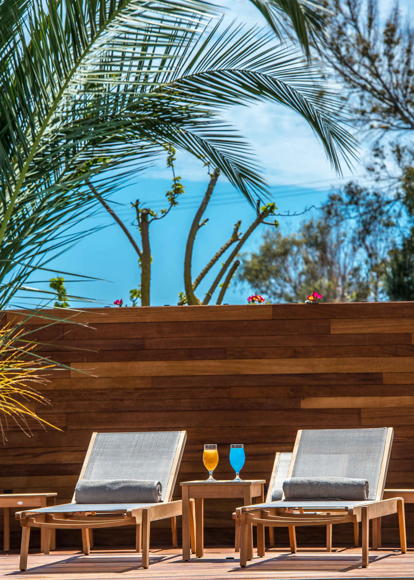 Фото Bitzaro Palace Hotel - All inclusive