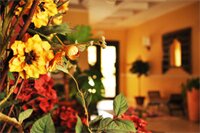 Фото Greta Rooms Hotel