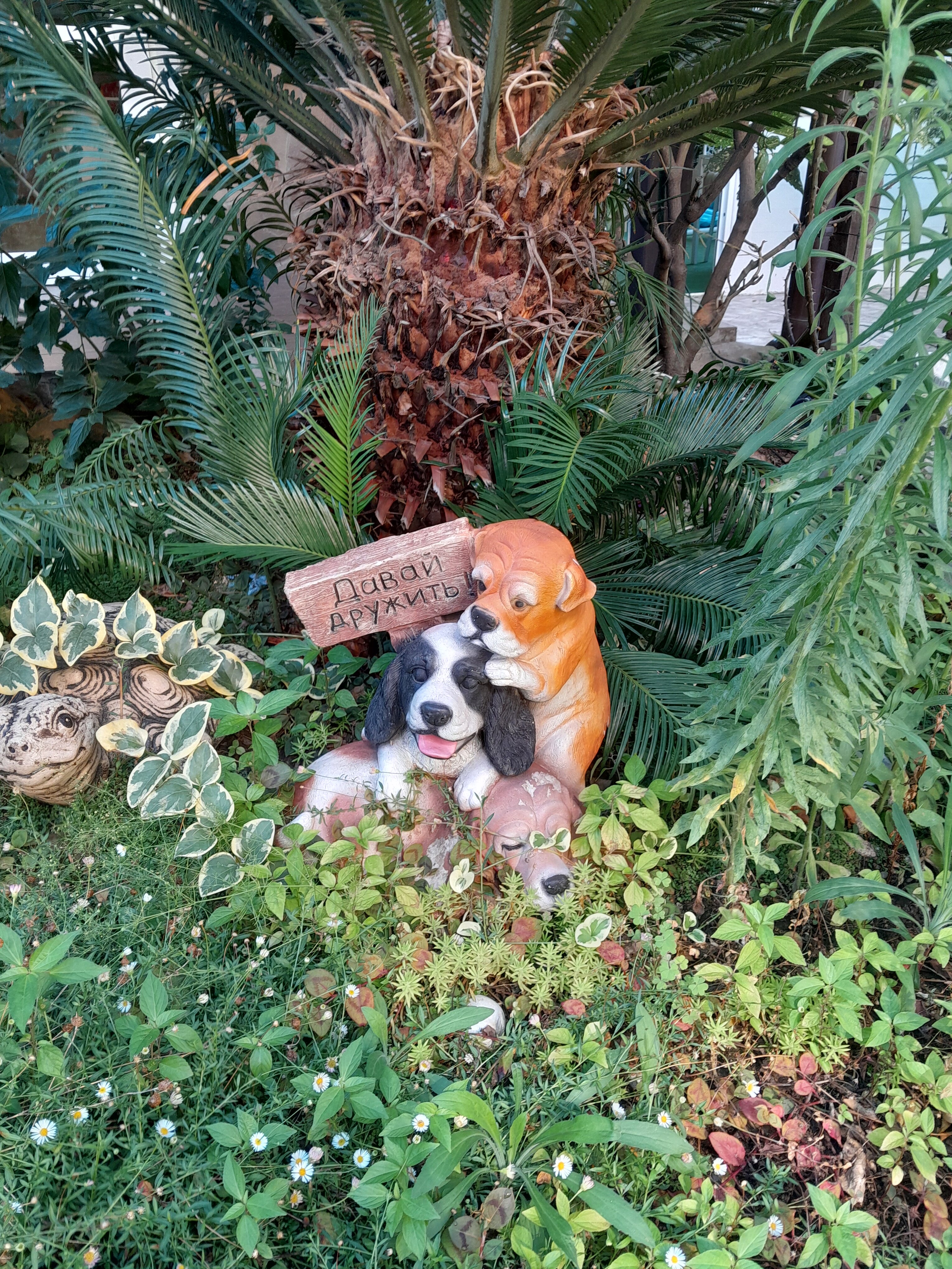 Фото Имеретинский романтик