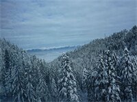 Фото Hotel Kralev Dvor