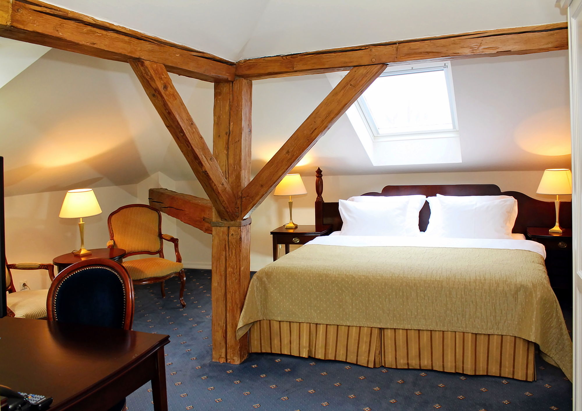 Фото Gourmet Hotel Villa Patriot