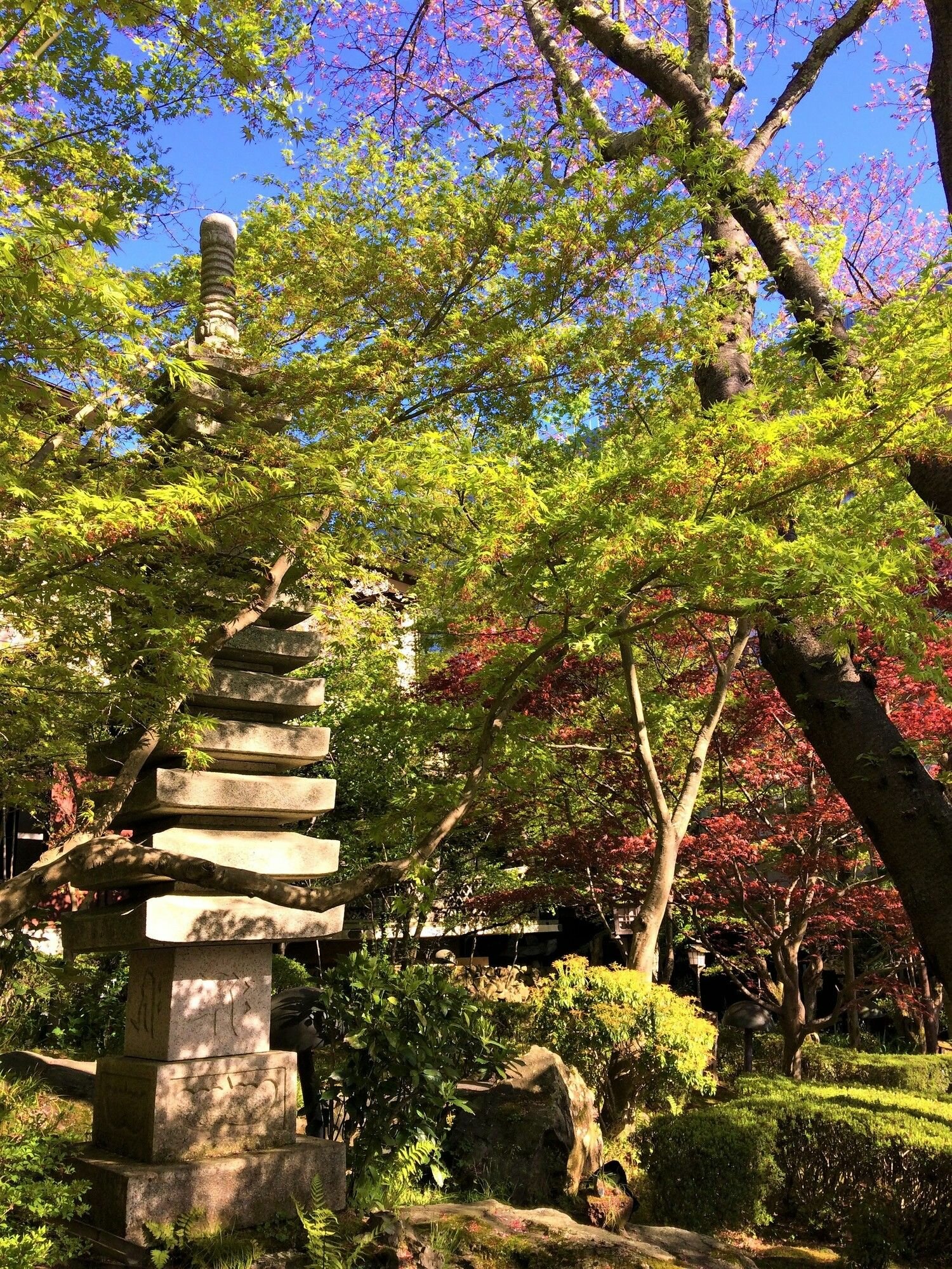 Фото Ryokan Nenrinbo
