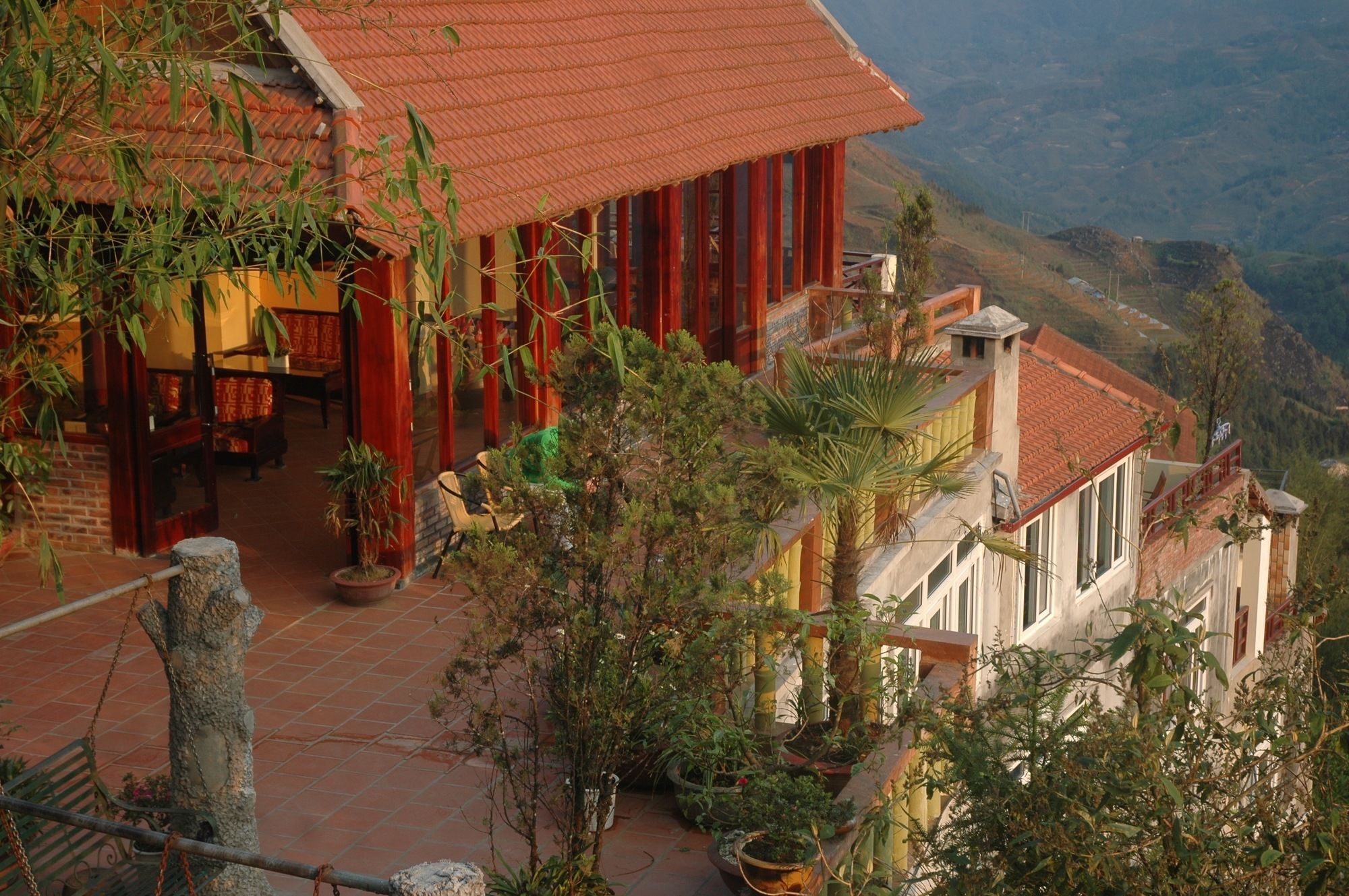 Фото Cat Cat View