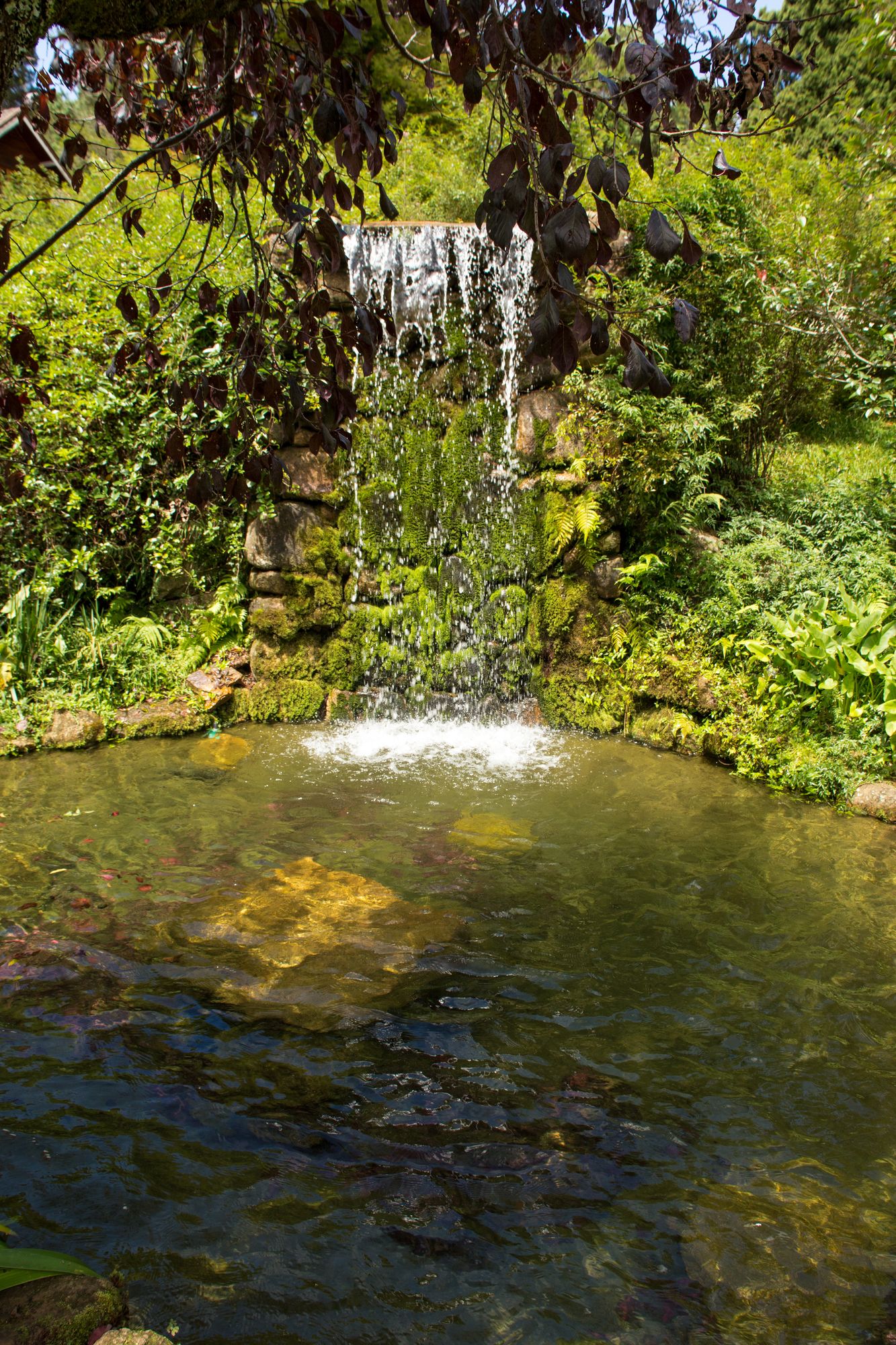 Фото Carballo Hotel & SPA