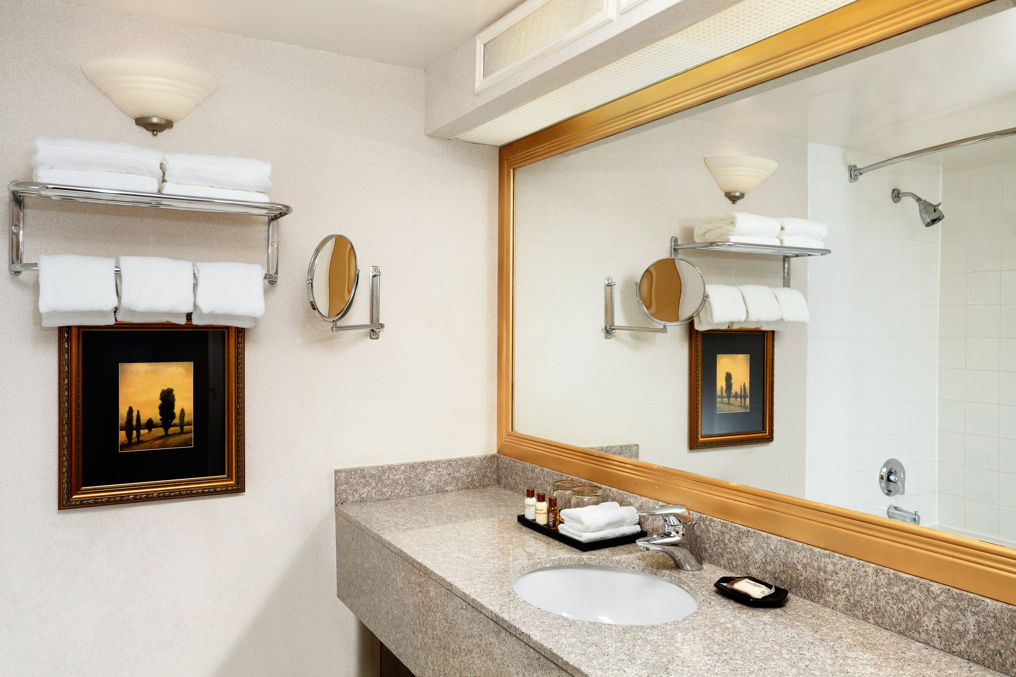 Фото Sheraton Parkway Toronto North Hotel & Suites