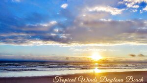 Гостиница Tropical Winds Oceanfront Hotel