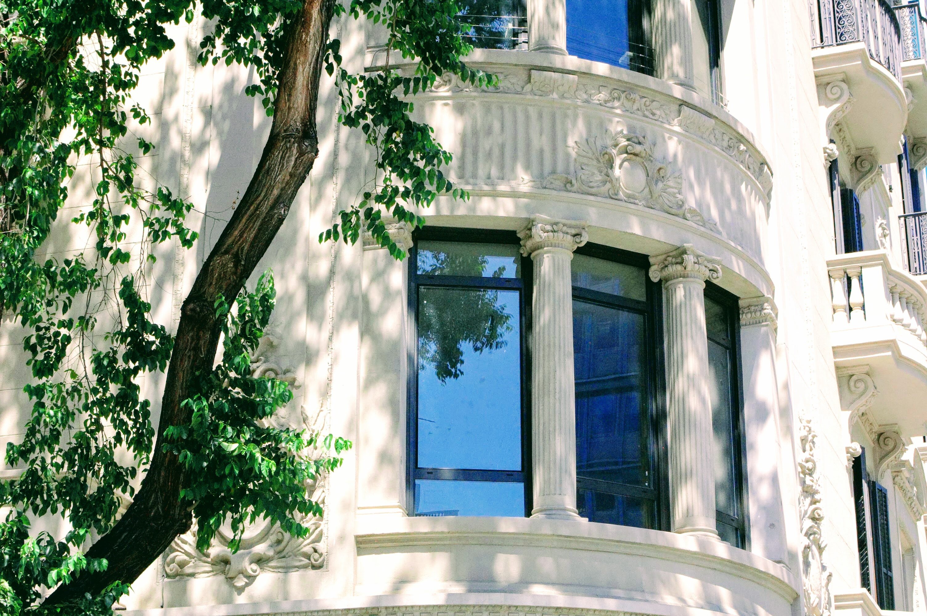 Фото Casagrand Luxury Suites