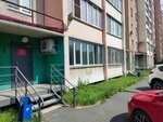 Брусника (Tsvillinga Street, 58В), compañía de construcción
