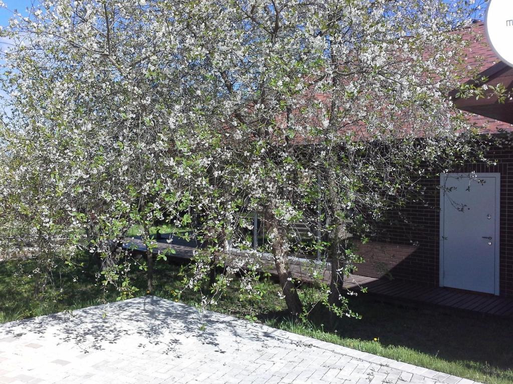 Фото Гостевой дом у Иветты