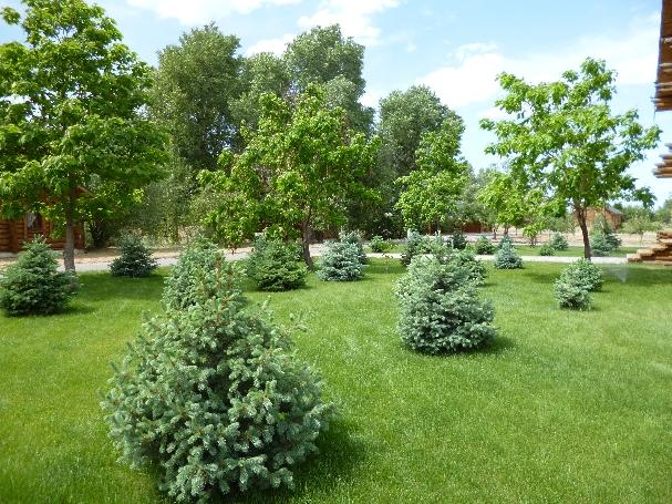 Фото Поплавок