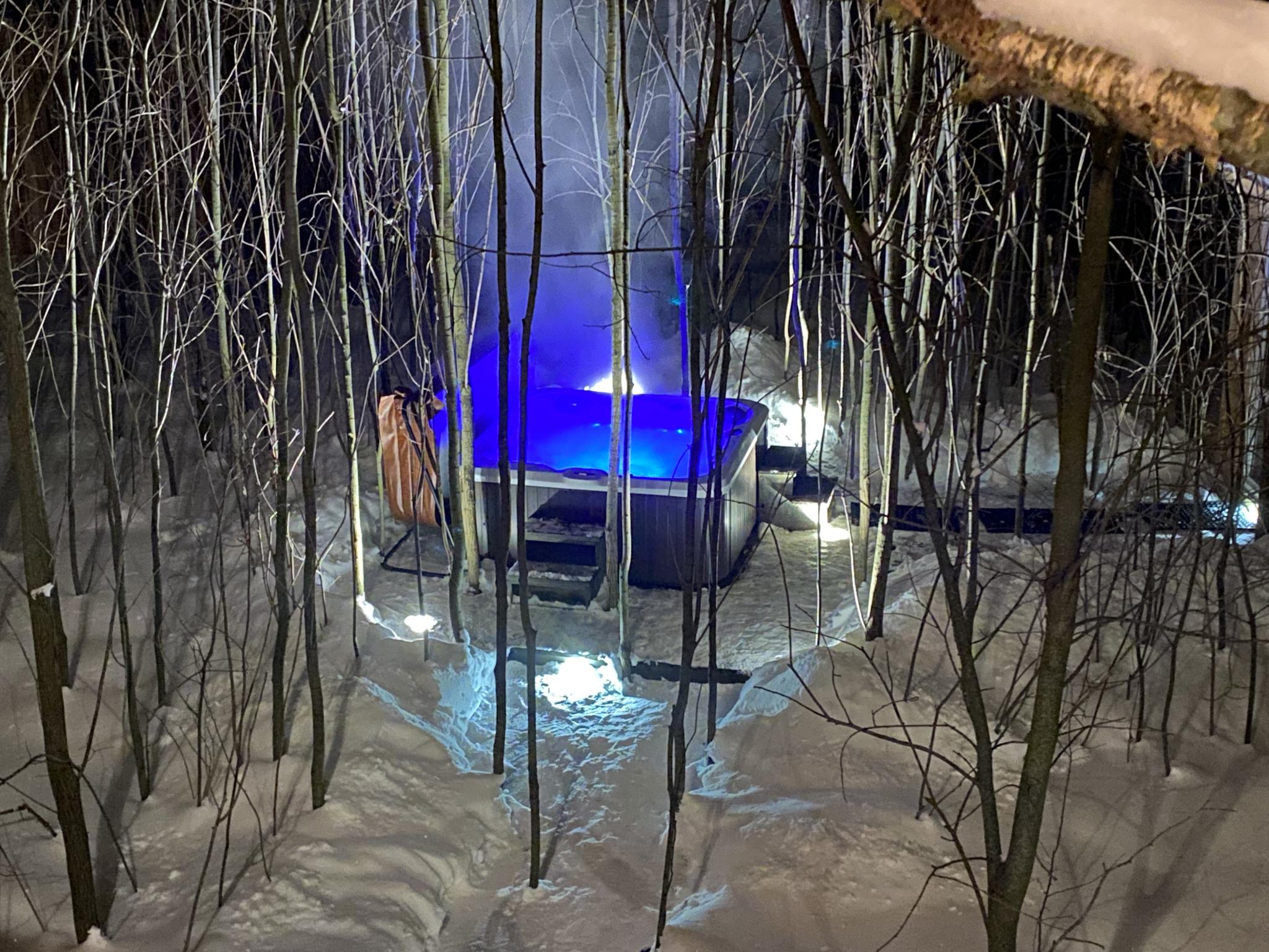 Фото Лапочкино гнездо Дома на деревьях