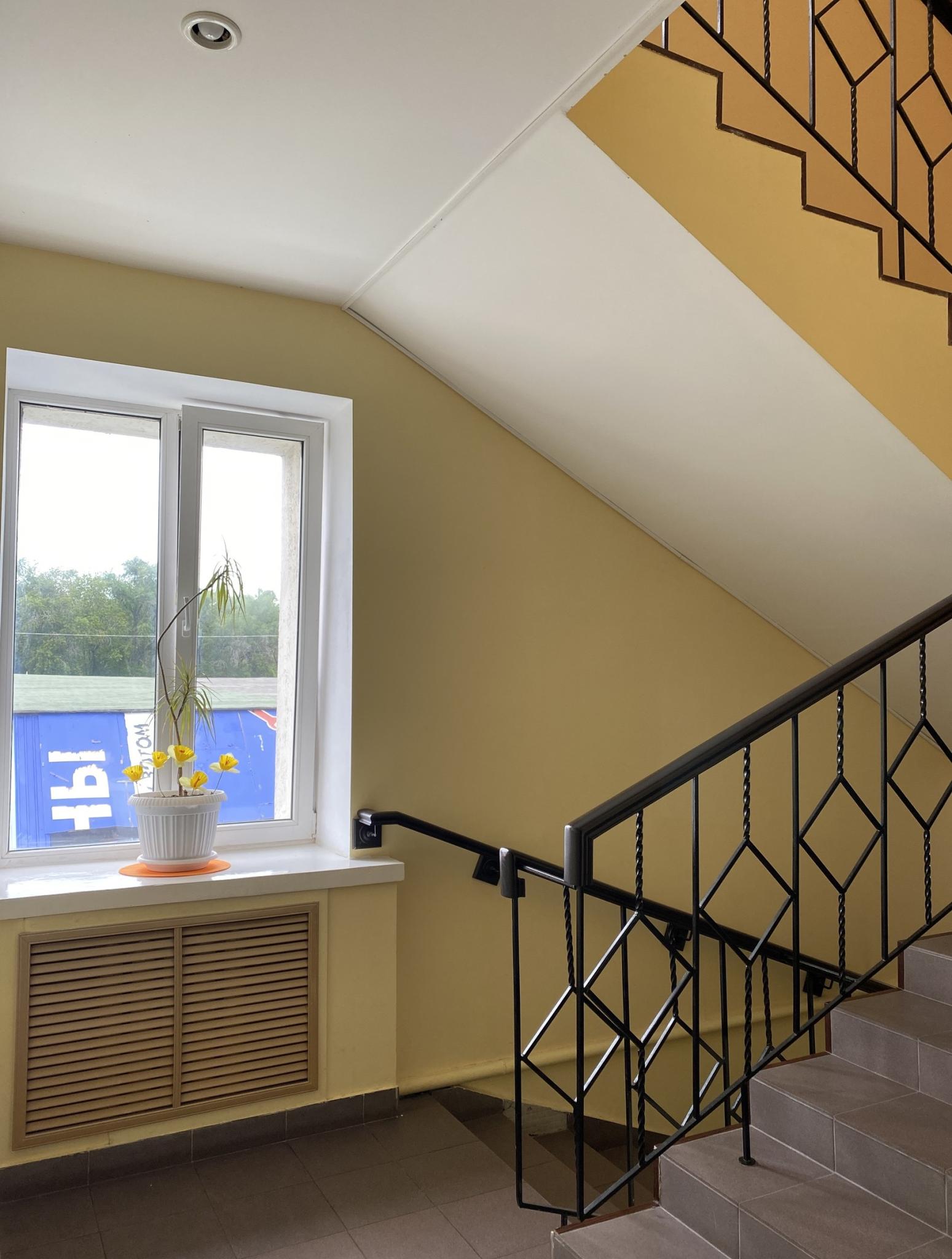 Фото Бархат