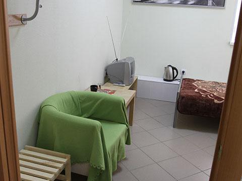 Фото Медведь