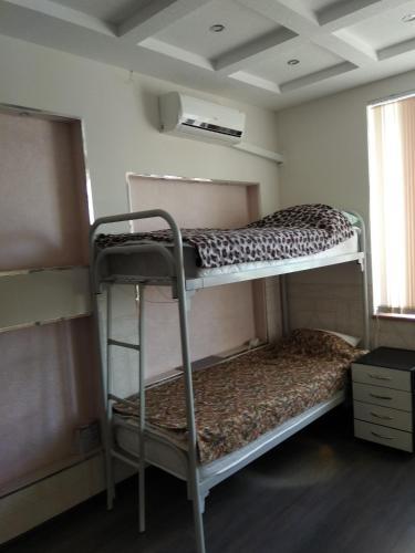 Фото Геолог