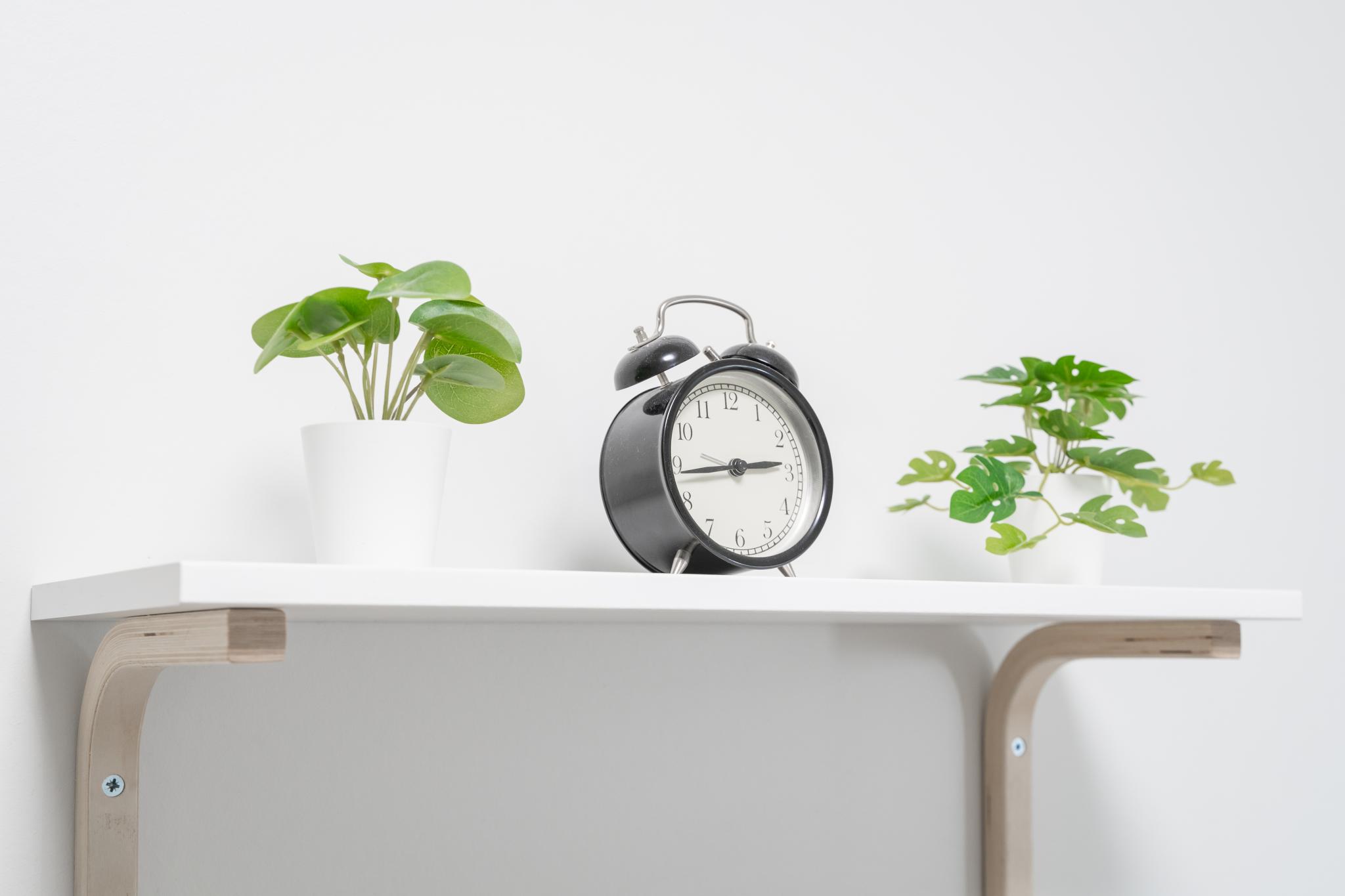 Фото Три барсука