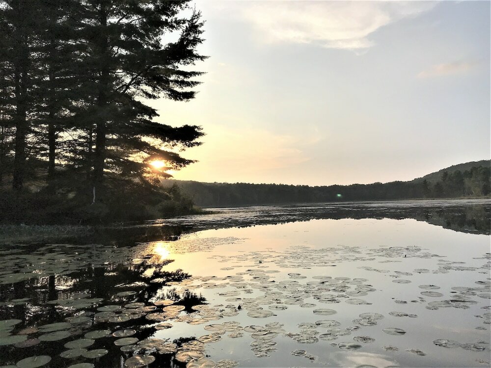 Фото Hush Lodge & Cottages