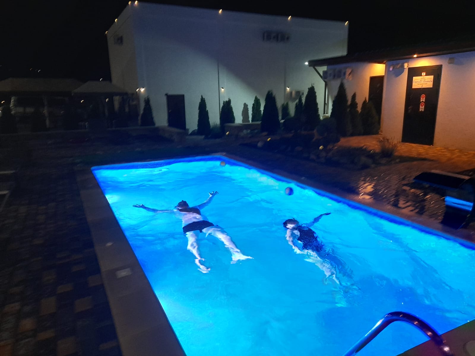 Фото Горная лаванда