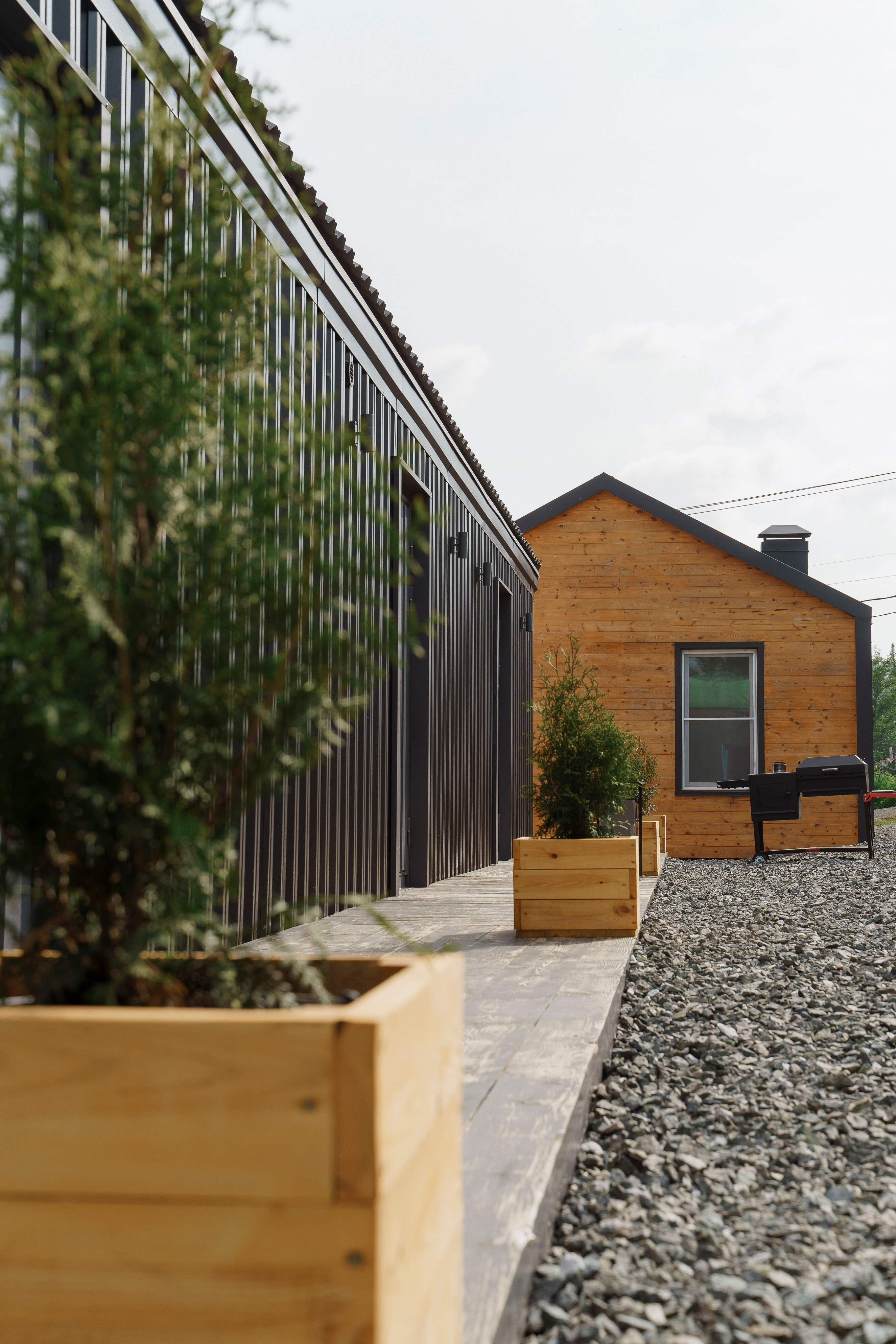 Фото Еловый лис