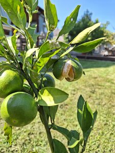 Гостевой дом 524