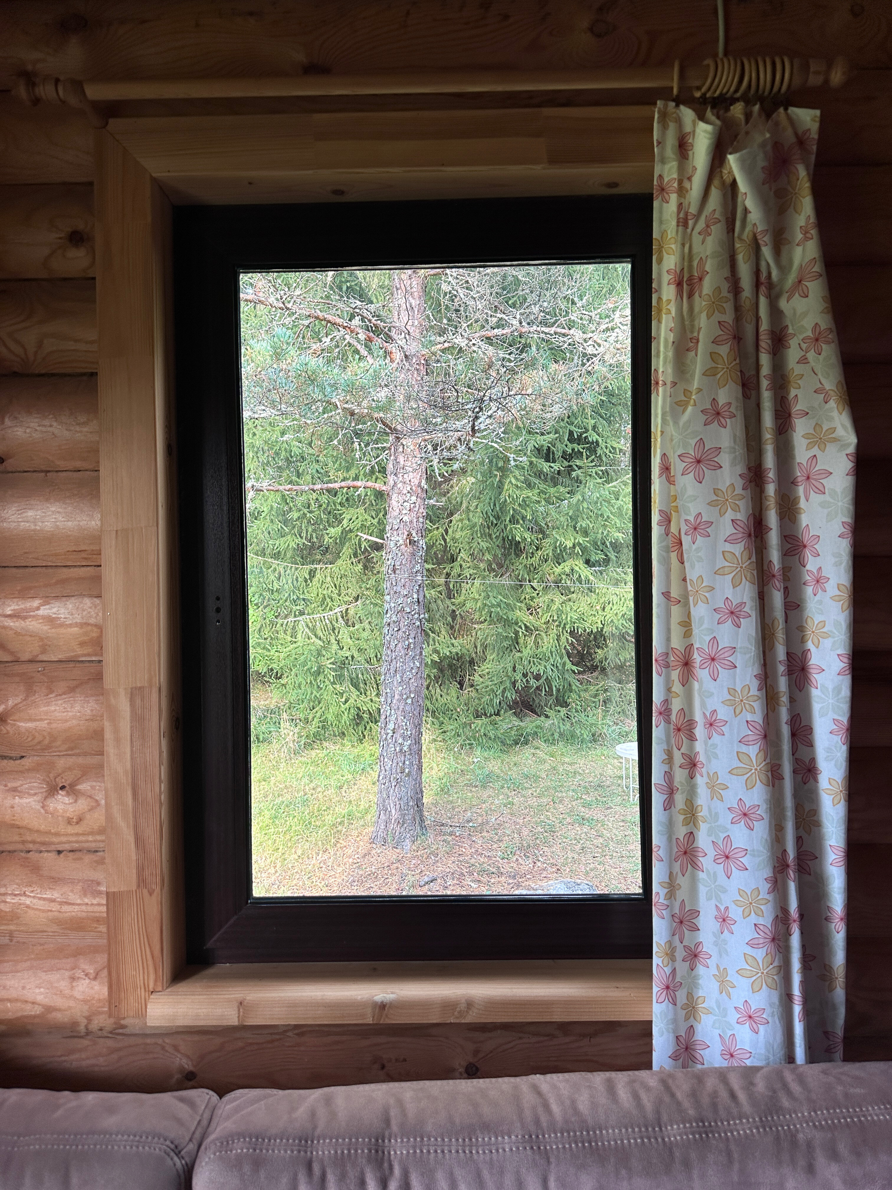 Фото Заречье