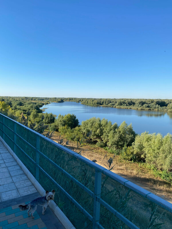 На берегу Ахтубы — фото 36