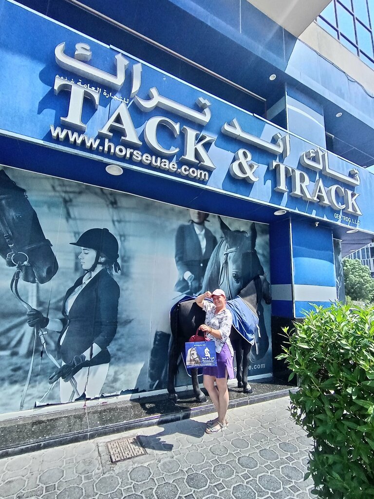 Horse harness Tack & Track, Dubai, photo