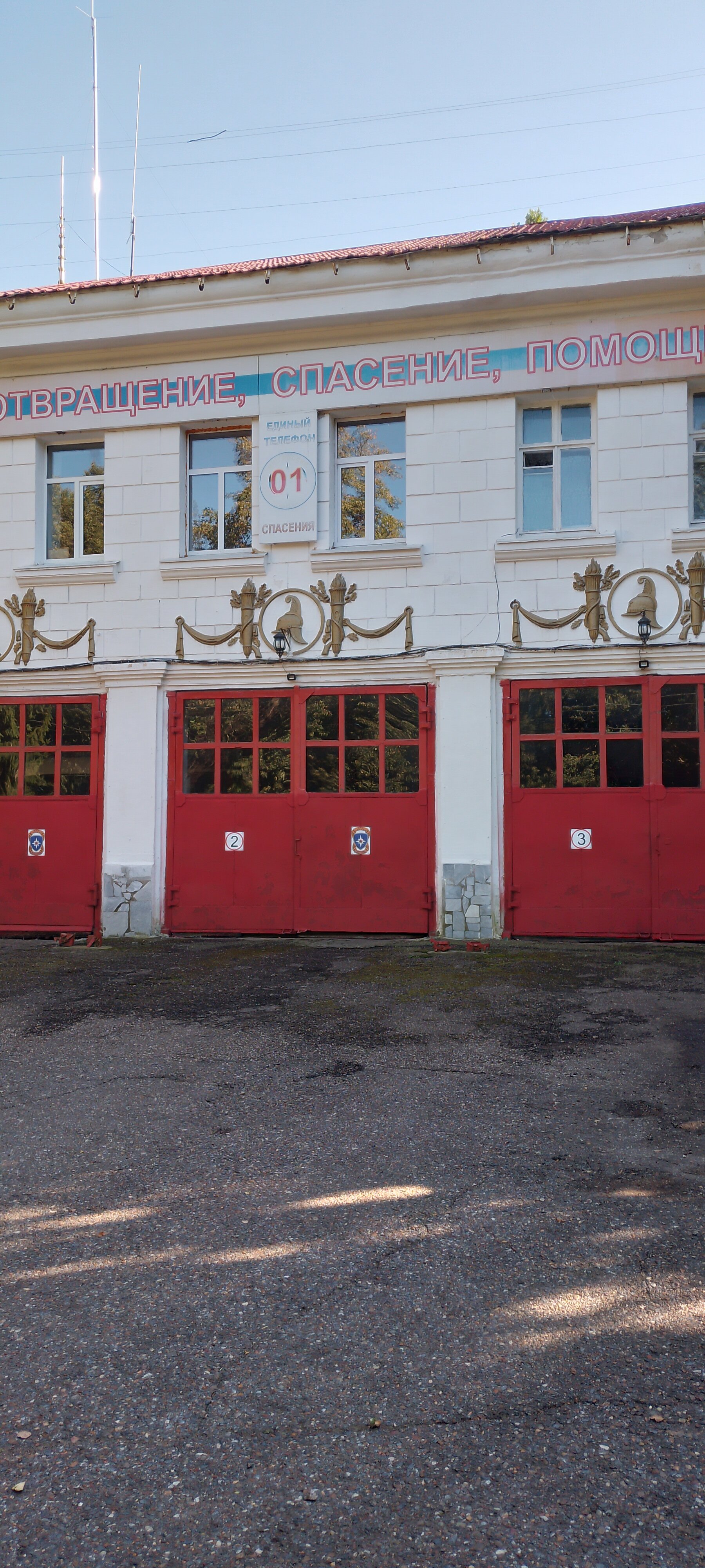 Фото Винсент